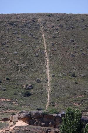 Ocio y conservación de la naturaleza