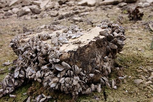 Ocio y conservación de la naturaleza