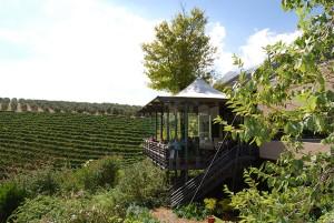 La Ruta del Vino en Cape Winelands