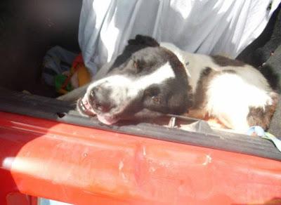 CASO EXTREMO DE MALTRATO. (JAEN)