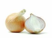 Cebolla Propiedades Medicinales