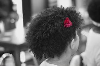 Primavera rizada.... así ocurrió...