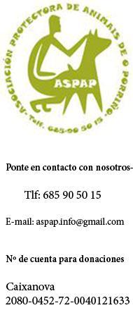 WOODY - MACHO - 7 MESES - EN ADOPCIÓN