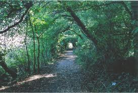 Entrevista personal con Esther Sanz