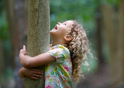 REVOLUCIÓN: callejón salida. Comentario Sociedad Espectáculo