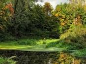 Paseándote sobre terrado