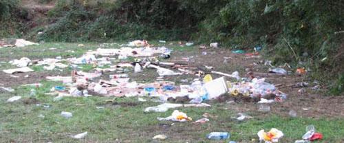 El jardín sucio: limpiar, desbrozar y expulsar