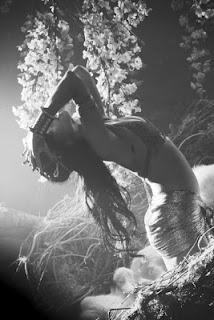 Where have you been?