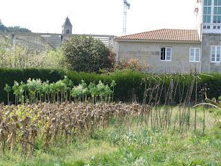 Plan de desarrollo económico, social, y ambiental en Galicia.