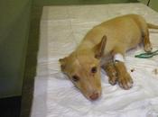 Vicky reclama derecho vivir.