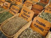 hierbas medicinales nuestro alcance