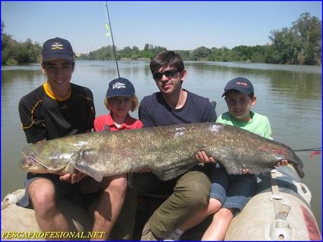 WALLER PESCA DE SILUROS EN  MEQUINENZA