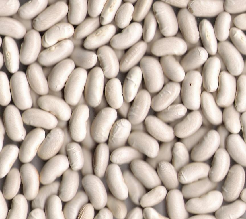 Alimentos de Uso Frecuente que te Pueden Intoxicar