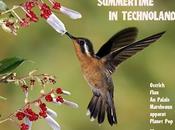 Summertime technoland 2012