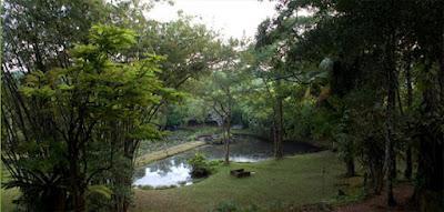 Jardines exóticos: Lunuganga