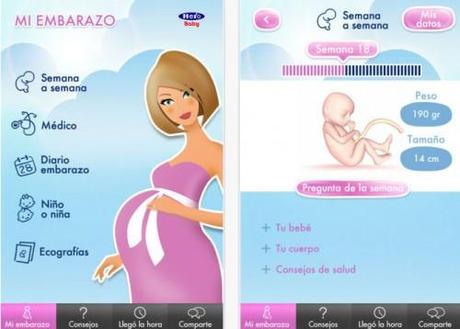 Semanas del embarazo