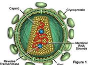 primeros síntomas infección