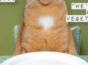 Quiero zanahoria furiosa!