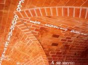 IRIS, Desde voces sensibles, suceden pensamientos altos