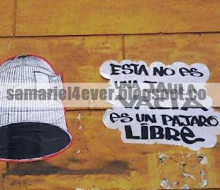 Mi Divorcio (parte 2)