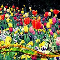 Terapias florales...