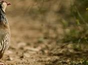 Parque Cazorla renueva para liderar turismo sostenible España