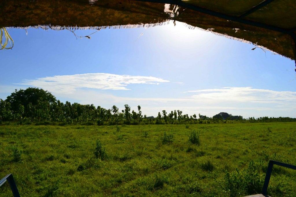 Los días en Hato Cristero