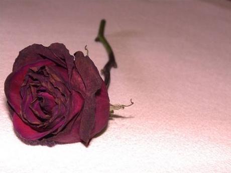 Los Conventos de la Vergüenza