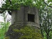 guarida Norman Manea