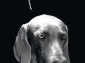 ¡Bienvenidos blog BBilumstudio!Todo equipo bb...