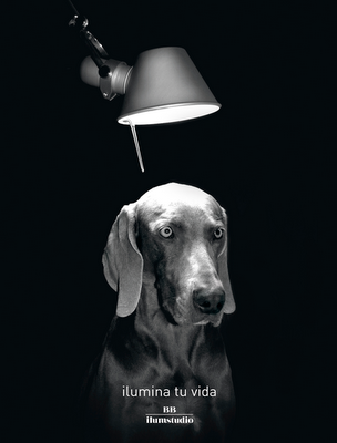 ¡Bienvenidos al blog de BBilumstudio!Todo el equipo de bb...