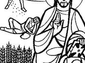 EVANGELIO DOMINICAL IMÁGENES: Junio 2012