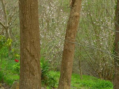 Un juego Hay días que al mirar para atrásaparece el relie...