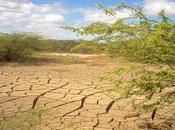 Mundial lucha contra desertificación sequía