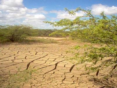 Día Mundial de la lucha contra la desertificación y la sequía