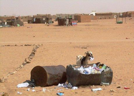 camps y cabras El Gobierno saharaui y ONG instan a España a mantener su solidaridad con el Sáhara Occidental pese a la crisis