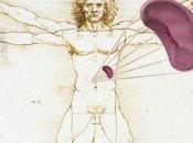 Bazo: Órgano Bajo Perfil