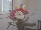 nuevos usos para pantys viejos