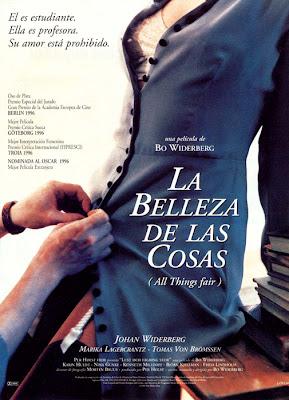 La belleza de las cosas (1995)