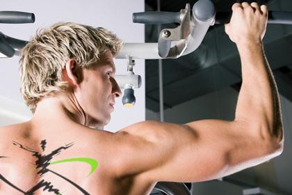 Principiantes, ¿por dónde empiezo?