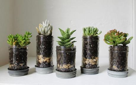 reciclaje-en-tu-jardin-02 reciclaje en tu jardin 02 Reciclaje en tu jardin