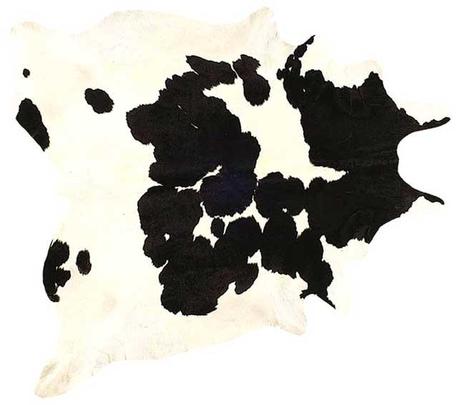 Lo mejor de cada casa