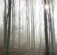 Encontrar los papeles Encontrar los papeles