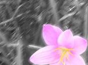 MONSTRUO INTERIOR: Segunda entrega