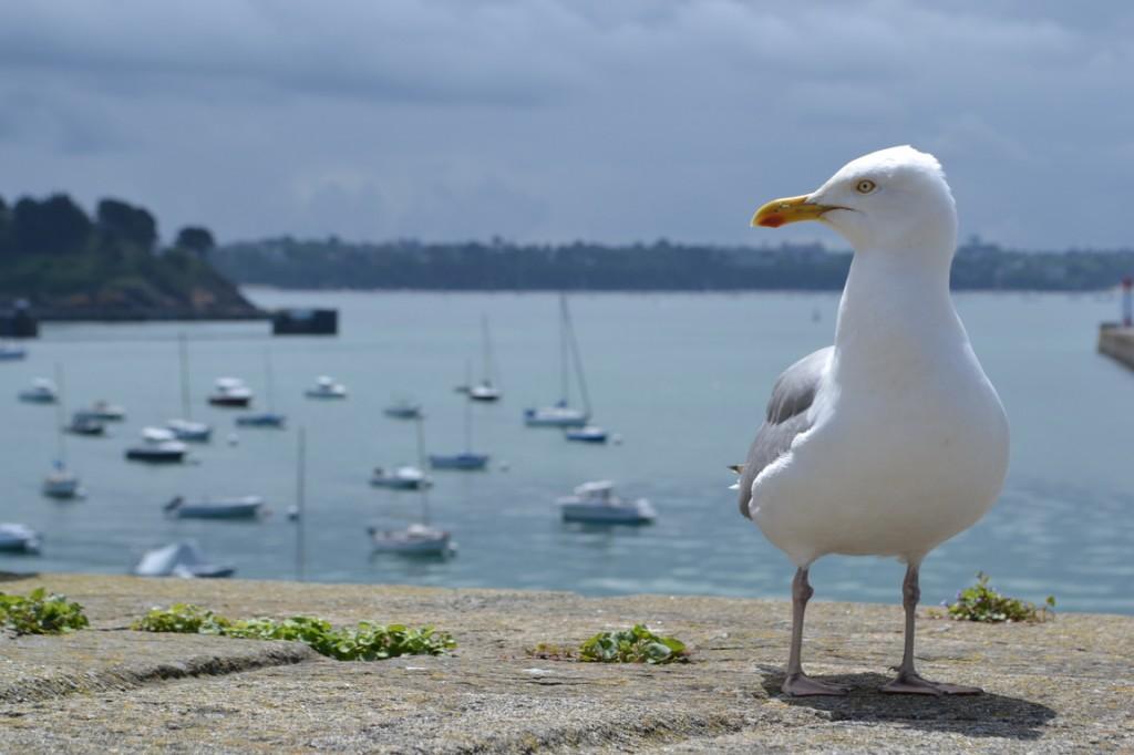 Posando para la foto
