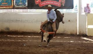 Se meten otros tres, Charreadones en Occidente