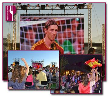 ¿Sabes ya dónde vas a ver el próximo partido de la selección?