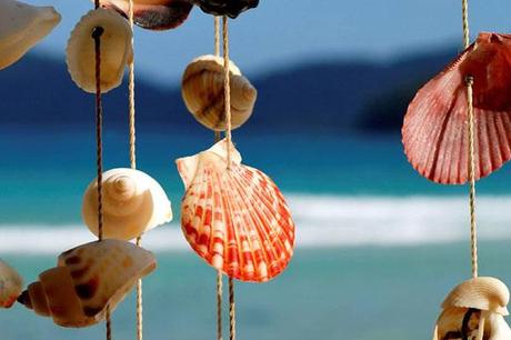 guirnaldas de conchas para decorar