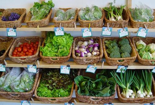 alimentos ecologicos 2 Come Bien, Vive Mejor