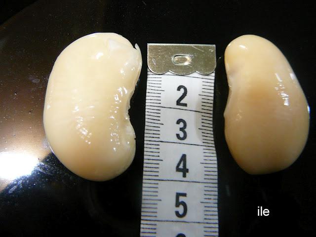 Porotos o judiones en aceite con ajo y perejil